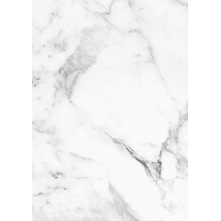 Plaque en PVC effet marbre PS 101 BIANCO CARRARA